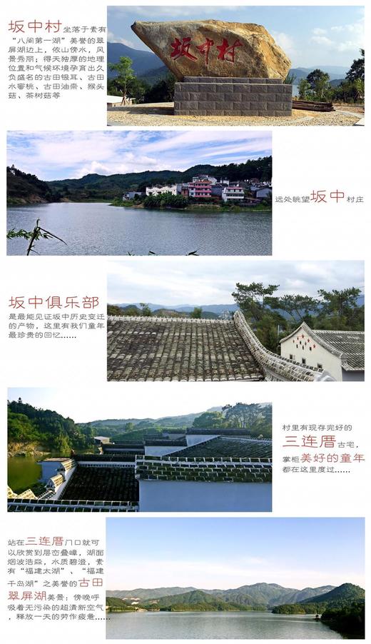 古田鲜活猴头菇800g包邮 商品图1