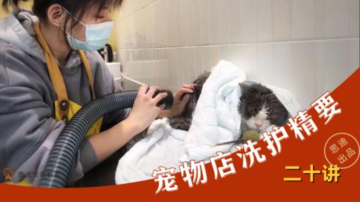 宠物门店洗护精要系列 商品图0