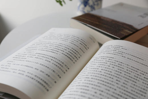 【第十届茅盾文学奖获奖作品】梁晓声 人世间 原著三卷本 中国青年出版社 商品图5