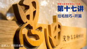 【第十七讲】拉毛技巧-开篇
