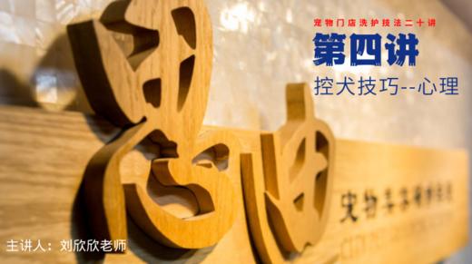 【第四讲】控犬技巧-心理 商品图0
