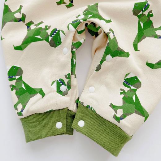 韩国婴童服饰新生儿衣服秋装可爱婴儿连体衣长袖哈衣男宝宝外出服 商品图4