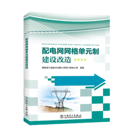 配电网网格单元制建设改造