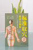 标准取穴超清大图册 真人示例取穴 超清大图骨骼定位 标准快速取穴书籍 取穴必备指导用书 轻松实用祛病痛 附赠简易取穴视频二维码 商品缩略图3