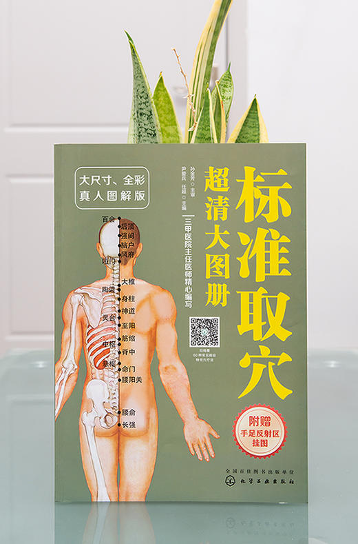 标准取穴超清大图册 真人示例取穴 超清大图骨骼定位 标准快速取穴书籍 取穴必备指导用书 轻松实用祛病痛 附赠简易取穴视频二维码 商品图3