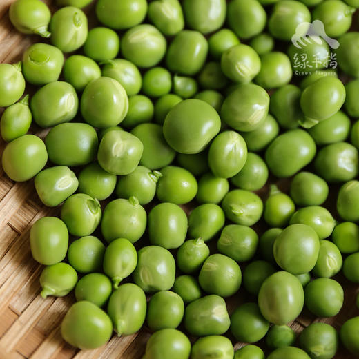 生态甜豌豆（带荚，吃豆米）| 合作生产 * Organic Sweet Pea  | Self-production 商品图6
