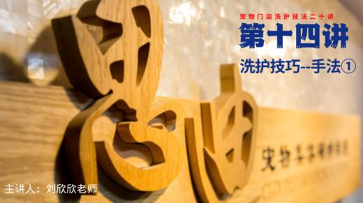 【第十四讲】洗护技巧-手法1 商品图0