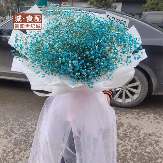 【GY】满天星（蓝） 商品图0