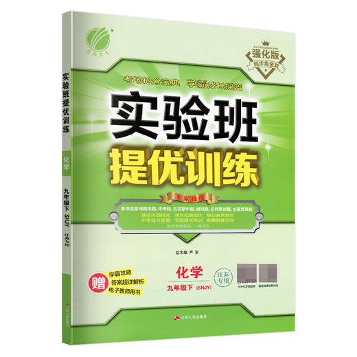 (9下)(配上教版)化学实验班提优训练（22春） 商品图0