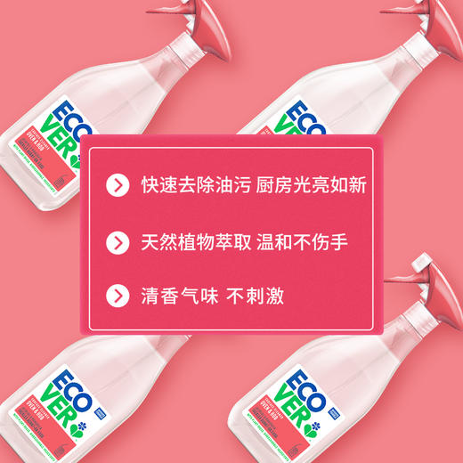 ecover 比利时进口油烟机清洗剂厨房重油清洗去油污清洁剂家用 商品图2