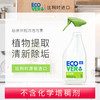 ecover/欧维洁进口厨房清洁喷雾洗碗池餐桌瓷砖玻璃清洁剂500ml 商品缩略图1