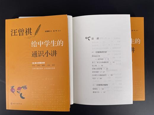 汪曾祺给中学生的通识小讲  12-15岁中学生课外阅读书籍 汪曾祺作品选集 汪曾祺给孩子们的36堂散文课 大语文概念书籍 初中课外书 商品图3