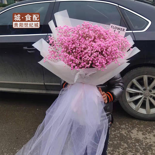 【GY】满天星（粉） 商品图0