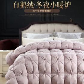 【春上新】10楼 恐龙 N12D柔赛丝面料95%大朵白鹅绒四季被-粉 吊牌价5880-6380元 活动价1699-1899元