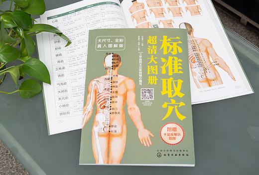 标准取穴超清大图册 真人示例取穴 超清大图骨骼定位 标准快速取穴书籍 取穴必备指导用书 轻松实用祛病痛 附赠简易取穴视频二维码 商品图2