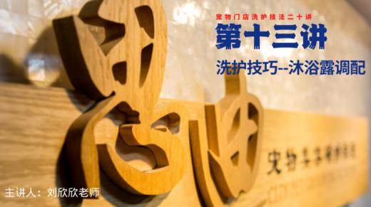 【第十三讲】洗护系列-沐浴露调配 商品图0