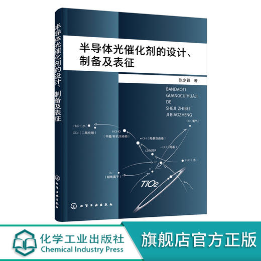 半导体光催化剂的设计 制备及表征 光催化剂设计及制备方法 多孔纳米光催化剂复合光催化剂异质结光催化剂 光催化领域人员应用书籍 商品图0
