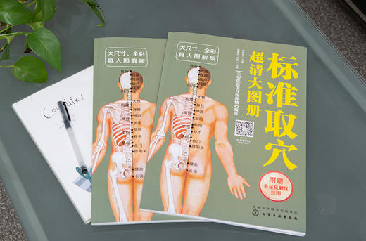 标准取穴超清大图册 真人示例取穴 超清大图骨骼定位 标准快速取穴书籍 取穴必备指导用书 轻松实用祛病痛 附赠简易取穴视频二维码 商品图1