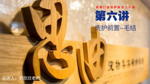 【第六讲】洗护前置-毛结 商品图0