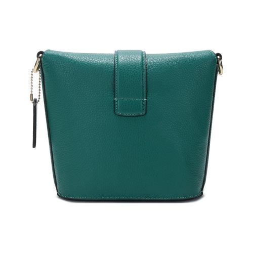 COACH/蔻驰 2021款 女士鹅卵石纹皮革ADDIE单肩斜挎包 C2814 商品图2