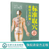 标准取穴超清大图册 真人示例取穴 超清大图骨骼定位 标准快速取穴书籍 取穴必备指导用书 轻松实用祛病痛 附赠简易取穴视频二维码 商品缩略图4