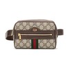 GUCCI/古驰 女士Ophidia系列帆布小号腰包 517076 96I3B 商品缩略图0