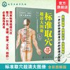标准取穴超清大图册 真人示例取穴 超清大图骨骼定位 标准快速取穴书籍 取穴必备指导用书 轻松实用祛病痛 附赠简易取穴视频二维码 商品缩略图0