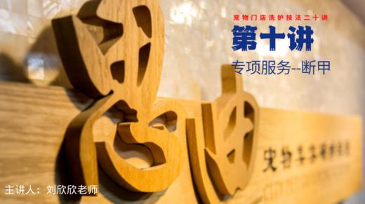 【第十讲】专项服务-断甲 商品图0