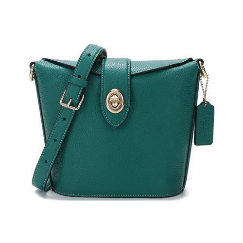 COACH/蔻驰 2021款 女士鹅卵石纹皮革ADDIE单肩斜挎包 C2814 商品图0