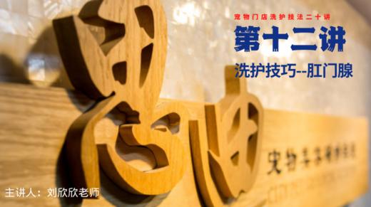 【第十二讲】洗护技巧-肛门腺 商品图0