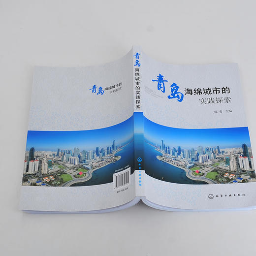 青岛海绵城市的实践探索 青岛海绵城市建设工作总结 青岛海绵城市建设 青岛海绵城市规划管控书籍 市政工程设计人员应用技术书籍 商品图4