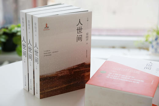 【第十届茅盾文学奖获奖作品】梁晓声 人世间 原著三卷本 中国青年出版社 商品图6