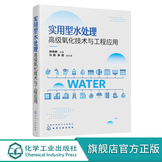 实用型水处理高级氧化技术与工程应用 商品图0