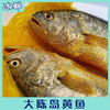 大陈岛黄鱼 商品缩略图9