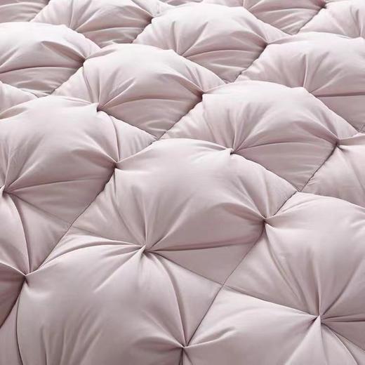 【春上新】10楼 恐龙 N12D柔赛丝面料95%大朵白鹅绒四季被-粉 吊牌价5880-6380元 活动价1699-1899元 商品图1