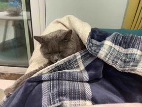 多sku购物车结算下单-001abcuavscvsuvcsiuvcwuvcuwvcydsvcvcwvecwcvuwvcgsdvcasvc uv午餐v午餐v土豆吃