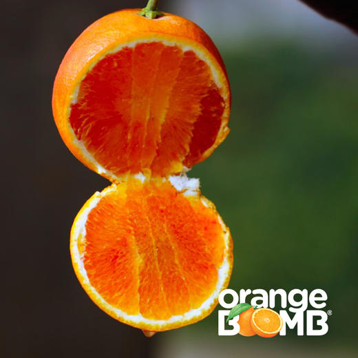 水嫩玫瑰香塔罗科血橙(新系品种） 四川宜宾产 顺丰京东快递 商品图1