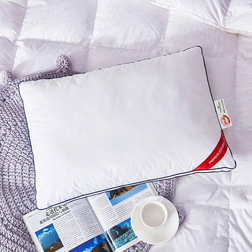 梦洁  德国羽丝绒抗菌安睡枕【50*70】 商品图0