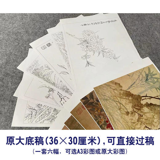 恽寿平工笔花鸟画白描底稿竹石桃花小品一套六幅册页初学者尺寸36*30厘米SP92 商品图2