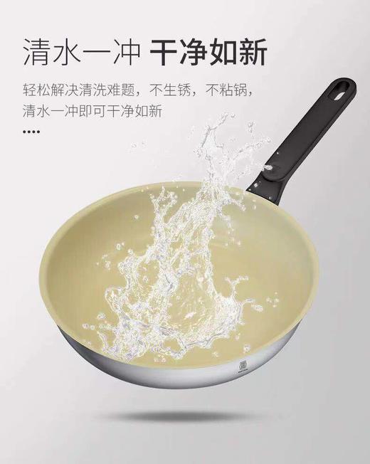 莱德斯230°C冷煎锅G16101 商品图0