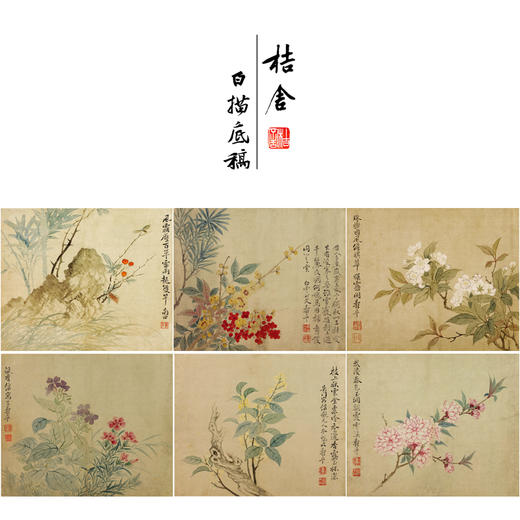 恽寿平工笔花鸟画白描底稿竹石桃花小品一套六幅册页初学者尺寸36*30厘米SP92 商品图0