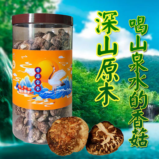 林中宝 原木粤北小香菇 香菇宝宝 清香鲜嫩美 全国非偏远地区包邮 商品图0