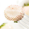 【顺丰空运】淡雪草莓  日本奈良种源  个大饱满  白嫩剔透 颗颗香甜 不打膨大剂 商品缩略图4