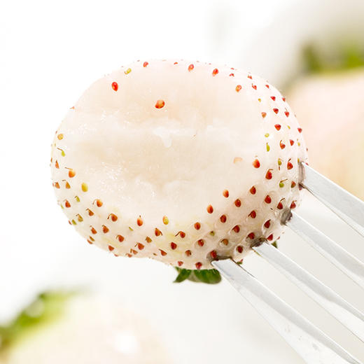 【顺丰空运】淡雪草莓  日本奈良种源  个大饱满  白嫩剔透 颗颗香甜 不打膨大剂 商品图4