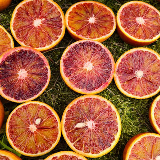 【血脐橙之乡】李子妃血脐橙5斤装  长寿湖秘境滋养 一整颗都是花青素 花香 蜜香 玫瑰香 橙香 品过难忘 商品图4