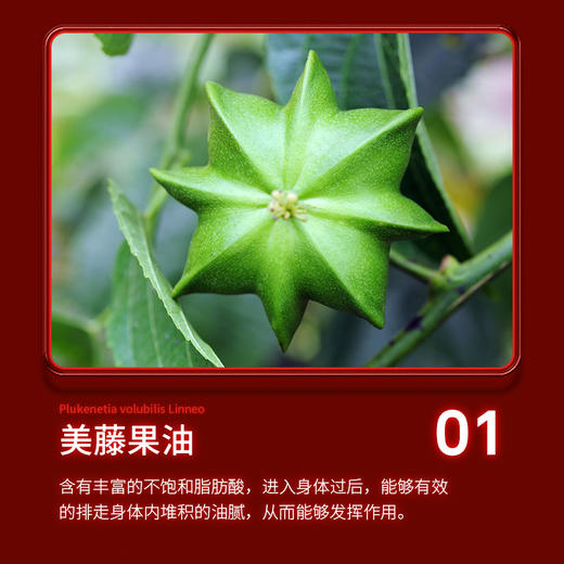 【买2送1】SSR红魔美藤果油 6大植物成分 以油排油 加速代谢 30粒/瓶 商品图1