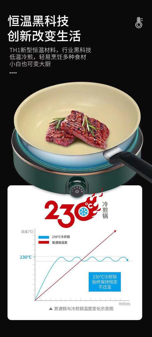 莱德斯230°C冷煎锅G16101 商品图1