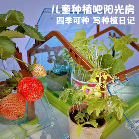 科答鸭儿童益智天体仪太阳系种植吧阳光房火箭仿真科学steam教育玩具