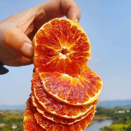 【血脐橙之乡】李子妃血脐橙5斤装  长寿湖秘境滋养 一整颗都是花青素 花香 蜜香 玫瑰香 橙香 品过难忘 商品图5