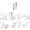 恽寿平工笔花鸟画白描底稿竹石桃花小品一套六幅册页初学者尺寸36*30厘米SP92 商品缩略图1